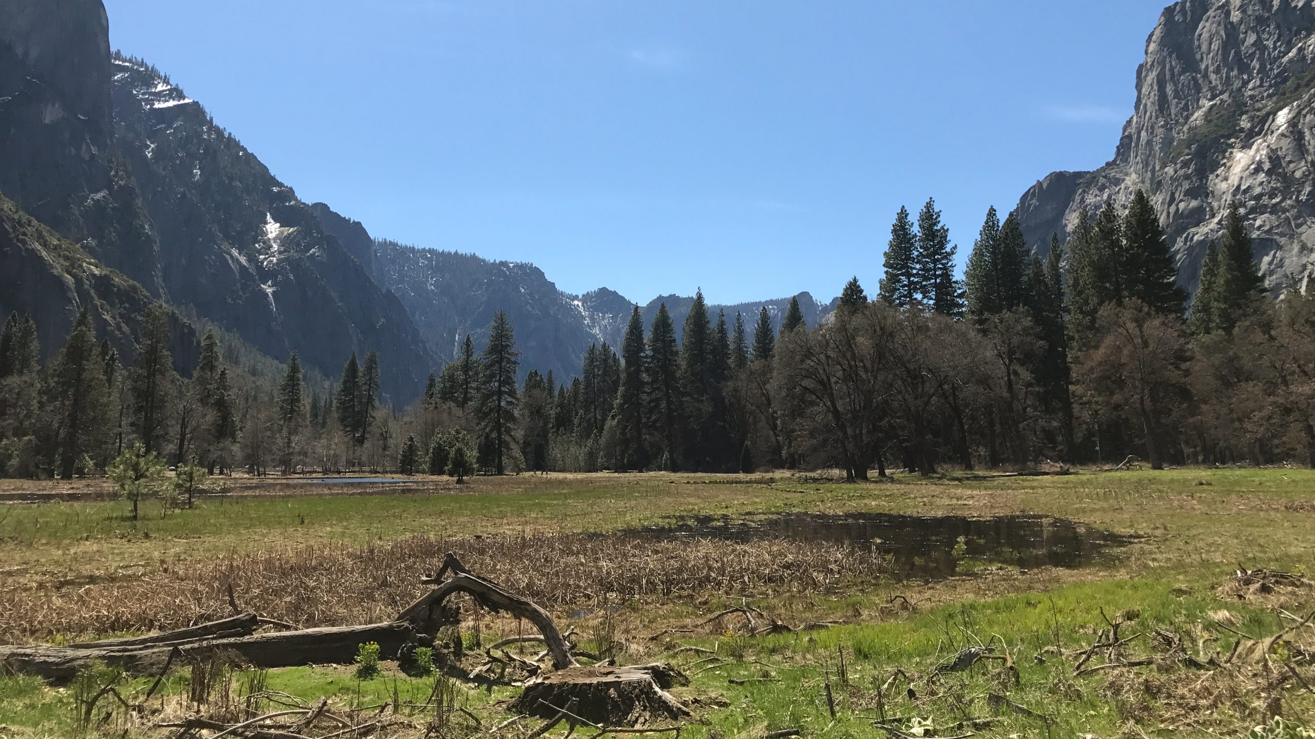 yosemite 1 scaled - Öğrenci Kafasıyla Kaliforniya Yolları